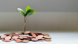 Münzen, daraus wächst eine Pflanze.