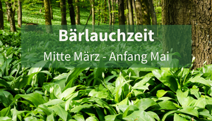 Bärlauch mit Schriftzug "Bärlauchzeit Mitte März - Anfang Mai"