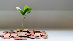 Münzen, daraus wächst eine Pflanze.