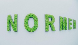 Grüner Schriftzug "Normen" auf Wand