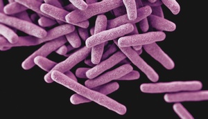 Computergeneriertes Bild des mycobacterium tuberculosis