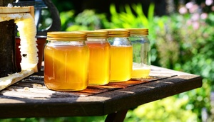 4 Gläser mit Honig, leuchtend durch die Sonne, Bienenwabe