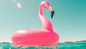 Rosa Flamingo-Schwimmreifen im Gewässer