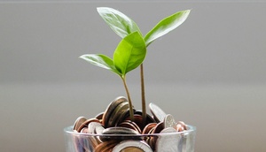 Glas mit Münzen aus dem grüne Blätter wachsen