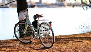 Fahrrad steht neben einem Baum
