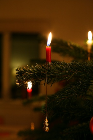 Kerze auf Weihnachtsbaum, &copy; Foto von Elena Shirnina auf Unsplash