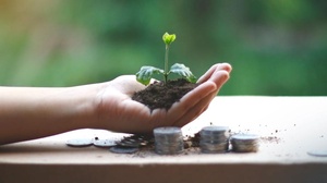 Pflanze wird von Hand gehalten, daneben sind Münzen auf einem Haufen , &copy; Bild von Akil Mazumder auf Pexels.com