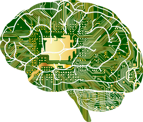 Schema Gehirns mit Schaltkreiseneines, © Gordon Johnson auf pixabay