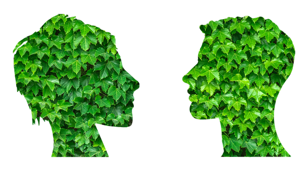 Frauen- und Männerkopf aus grünen Blättern gebildet , © geralt auf pixabay