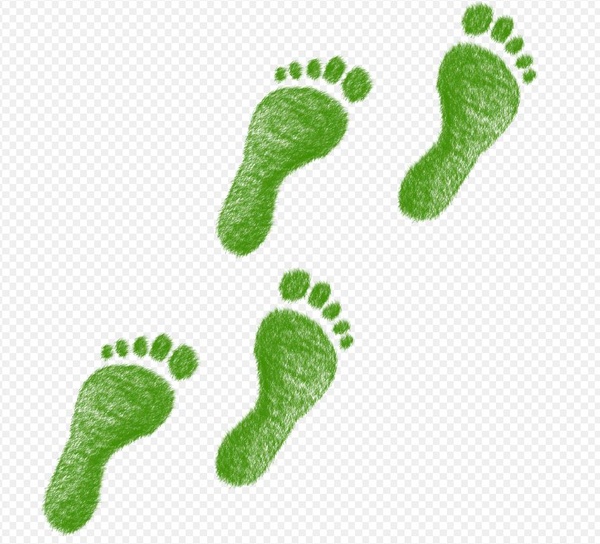 grüner Fußabdruck , © Elisa Riva auf Pixabay