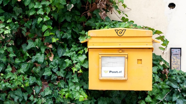Briefkasten vor Efeuwand, © Dimitry Anikin on Unsplash Briefkasten vor Efeuwand, © Dimitry Anikin on Unsplash