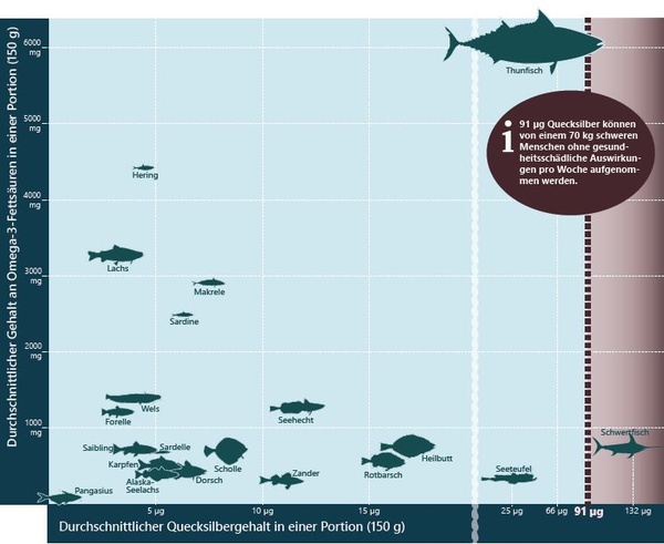 Tabelle durchschnittlicher Quecksilbergehalt in Fischen, © AGES/Sozialministerium