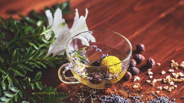 Tasse Tee gemacht aus Kräutern, © Photo by Lisa Hobbs on Unsplash