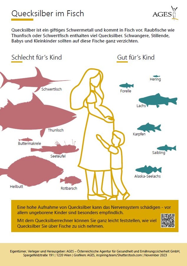 Infoblatt Quecksilber im Fisch, © AGES/Sozialministerium