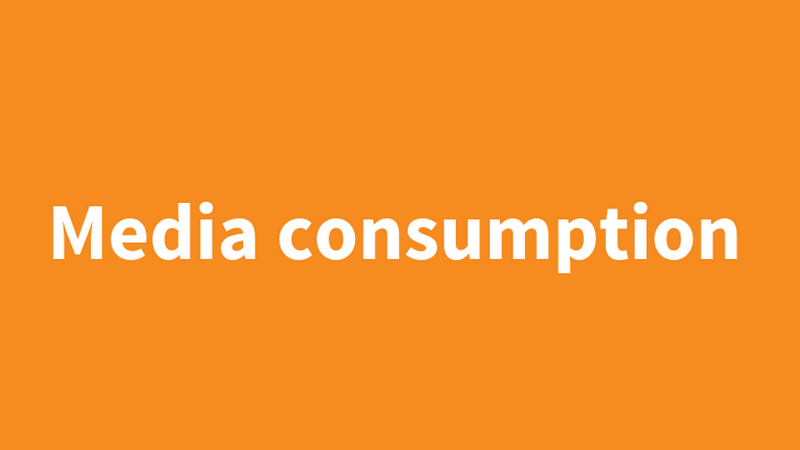 Schriftzug "Media Consumption" auf orangem Untergrund, &copy; BMASGPK
