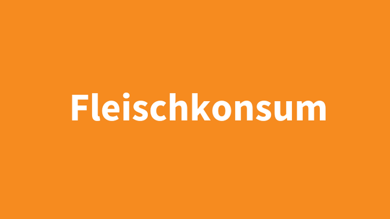 Schriftzug "Fleischkonsum" auf orangem Untergrund, &copy; BMASGPK