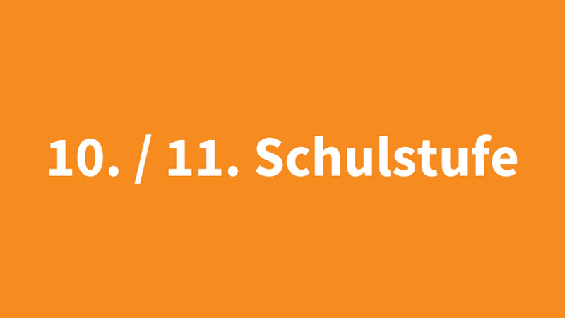 Schriftzug "10./11. Schulstufe" auf orangem Untergrund, &copy; BMASGPK