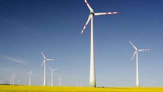 Windräder auf einer Wiese