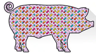 Zeichnung eines Schweins, gefüllt mit Tabletten 