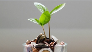 Glas mit Münzen aus dem grüne Blätter wachsen